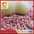 High Quality Shandong Long Peanut Kernels